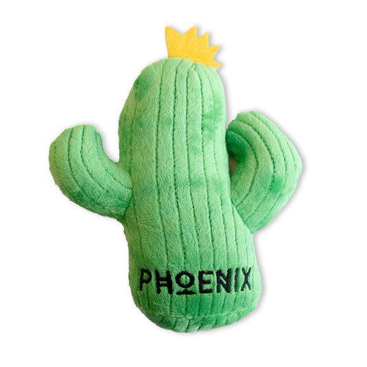 Cactus Chew Toy
