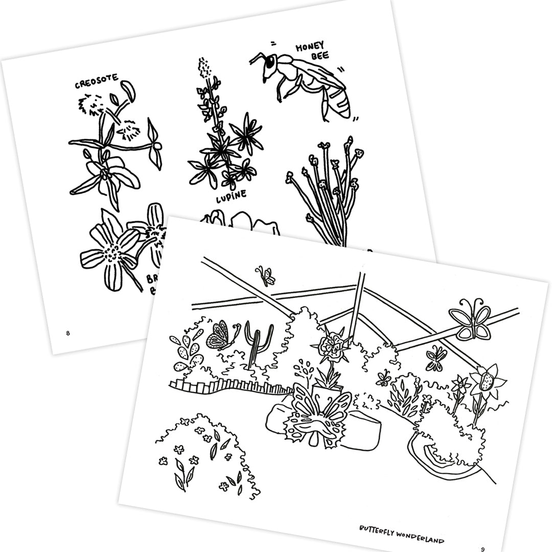 Desert Doodles Phoenix Coloring Book